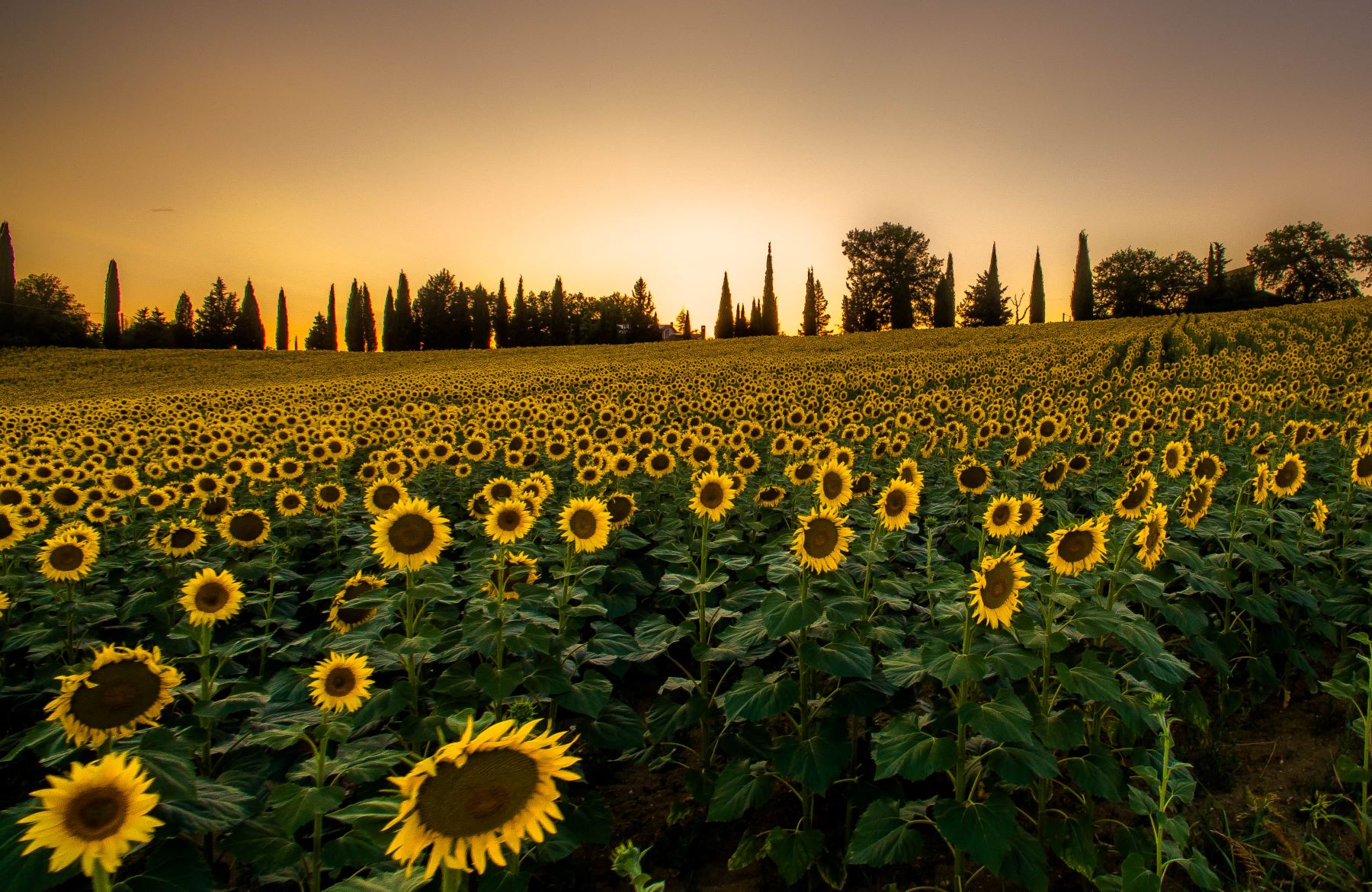 Cities of Umbria Exploring Umbria
